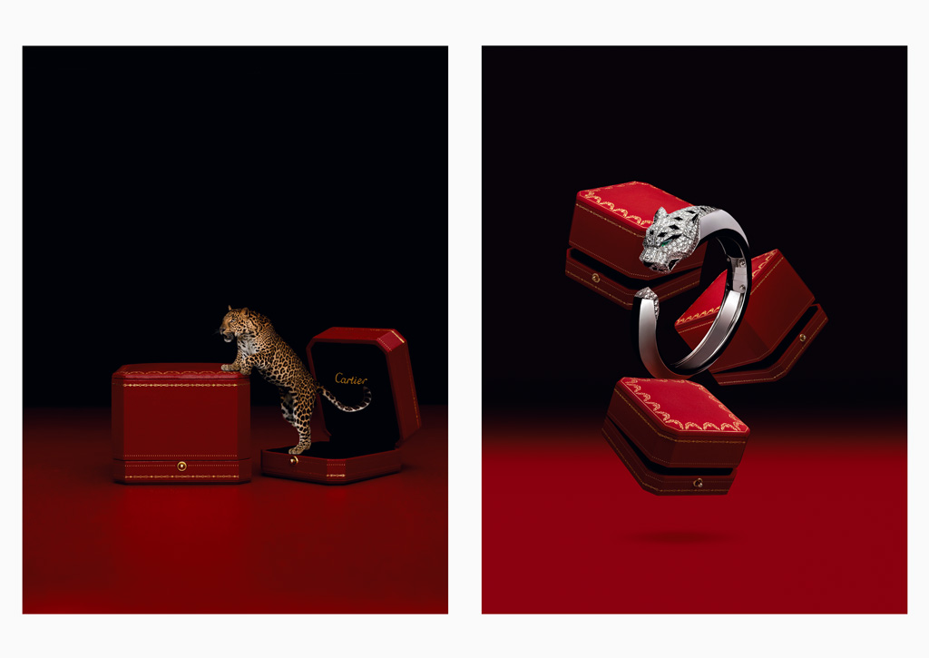 Cartier - Campaign